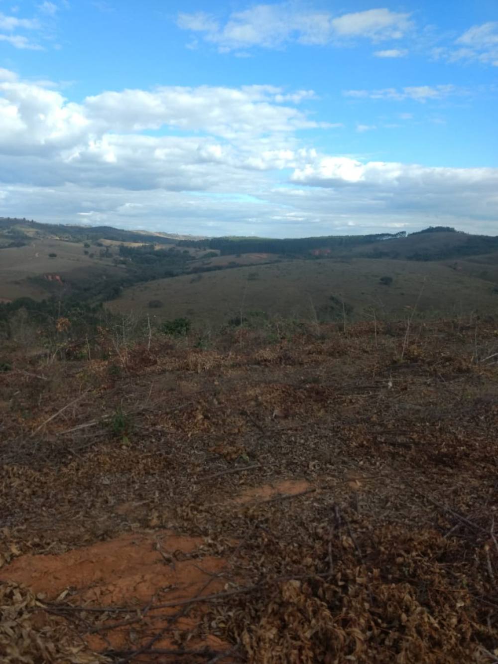 Sítio com 52,00,00 hectares.