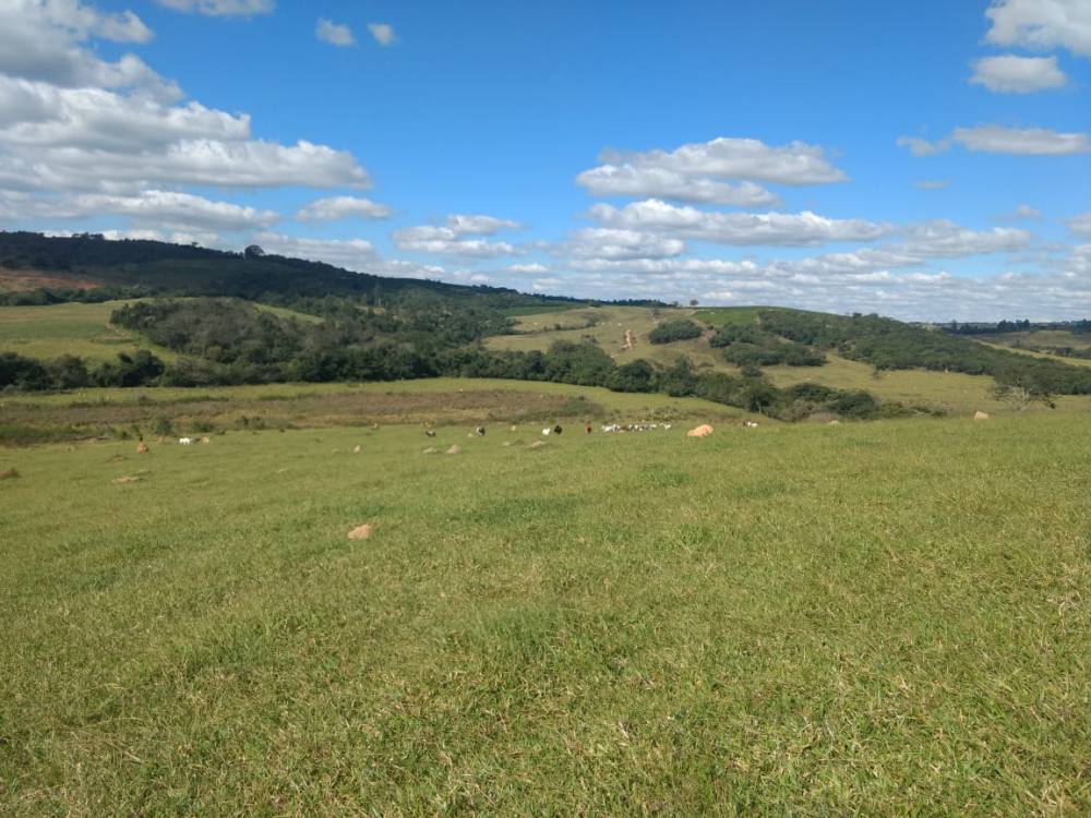 Sítio Ideal para Plantio de Café ou Cereais.