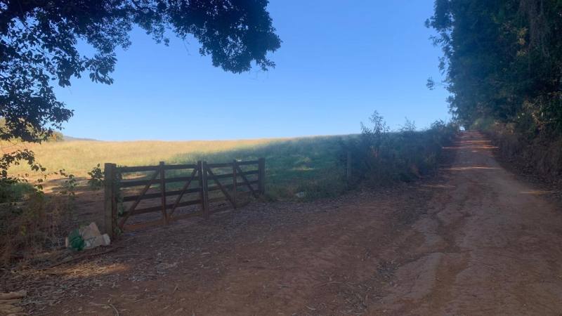 FAZENDA XILINDRÓ - MUNICIPIO DE BOA ESPERANÇA