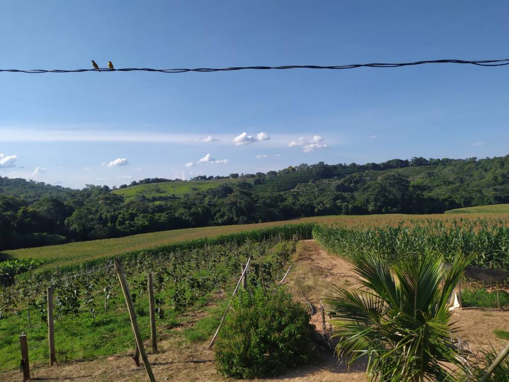 SITIO - VERDADEIRO PARAISO